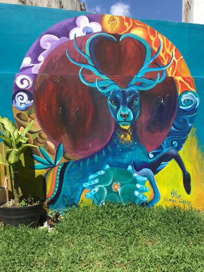 Hostel Venado 28 Cancún Zewnętrze zdjęcie